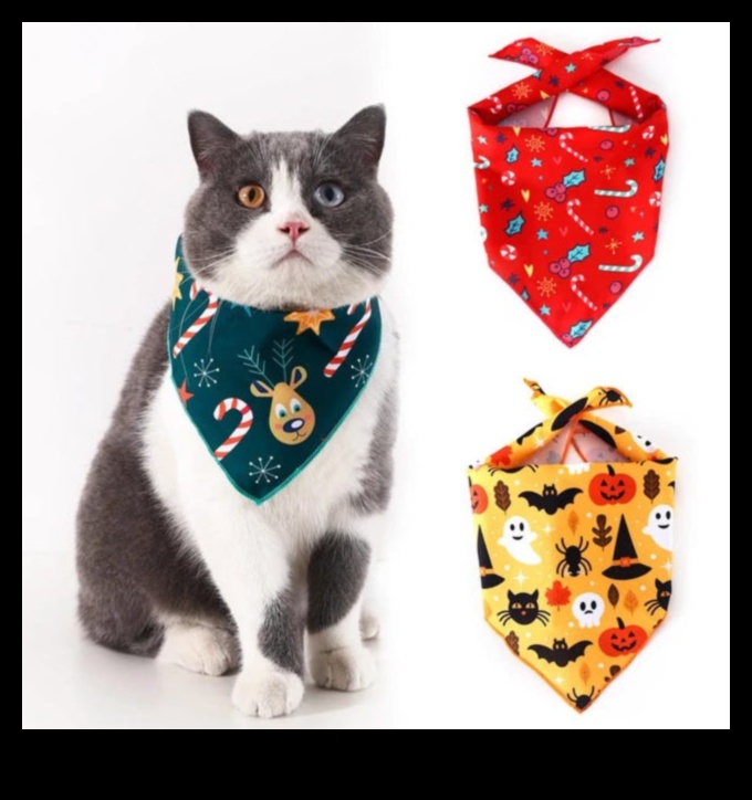 Finery Feline: Accesorii elegante pentru a-ți împodobi pisica