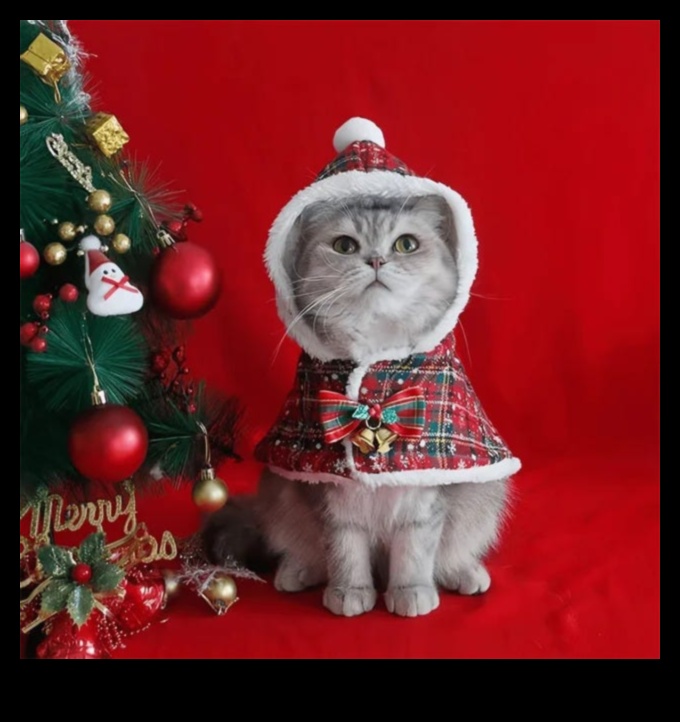 Finery Feline: Accesorii elegante pentru a-ți împodobi pisica