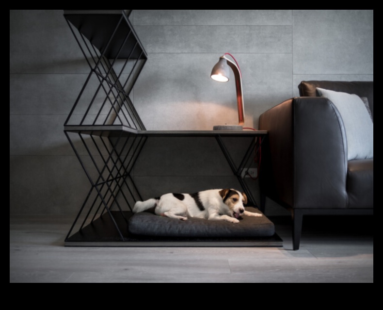 Relaxarea reptilelor a continuat Proiectarea unor zone confortabile de odihnă 4 Relaxarea reptilelor Continuare: Proiectarea unor zone confortabile de odihnă