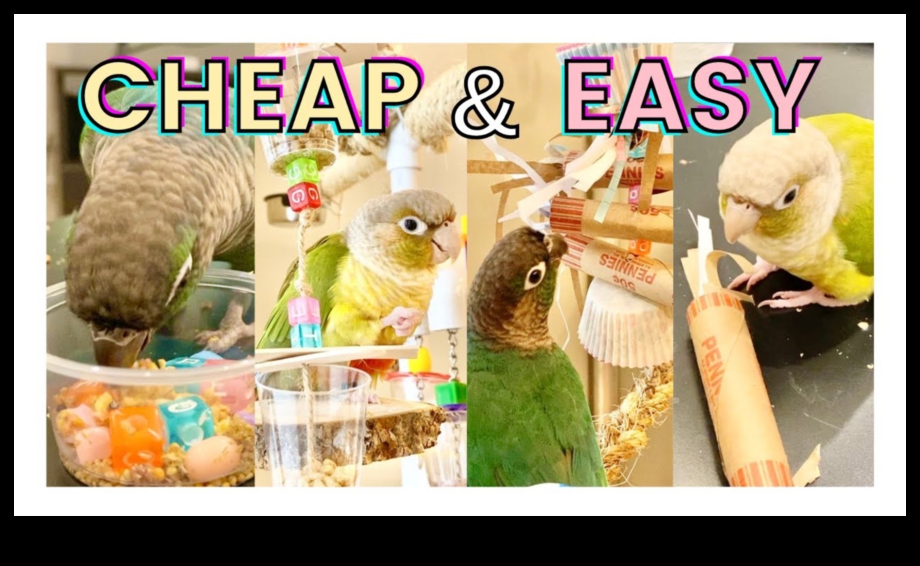 Activități de îmbogățire a jucăriilor cu păsări DIY pentru prietenii tăi cu pene 3 Jucării cu păsări DIY: activități de îmbogățire pentru prietenii tăi cu pene