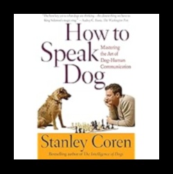 Discursul câinelui: navigarea în arta comunicării câinelui