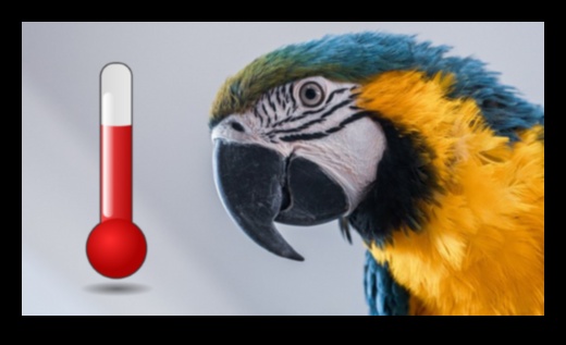 Moda prietenilor cu pene a continuat: Păstrează-ți pasărea elegantă