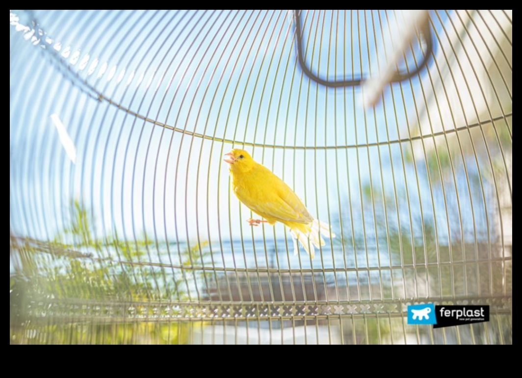 Moda prietenilor cu pene a continuat: Păstrează-ți pasărea elegantă