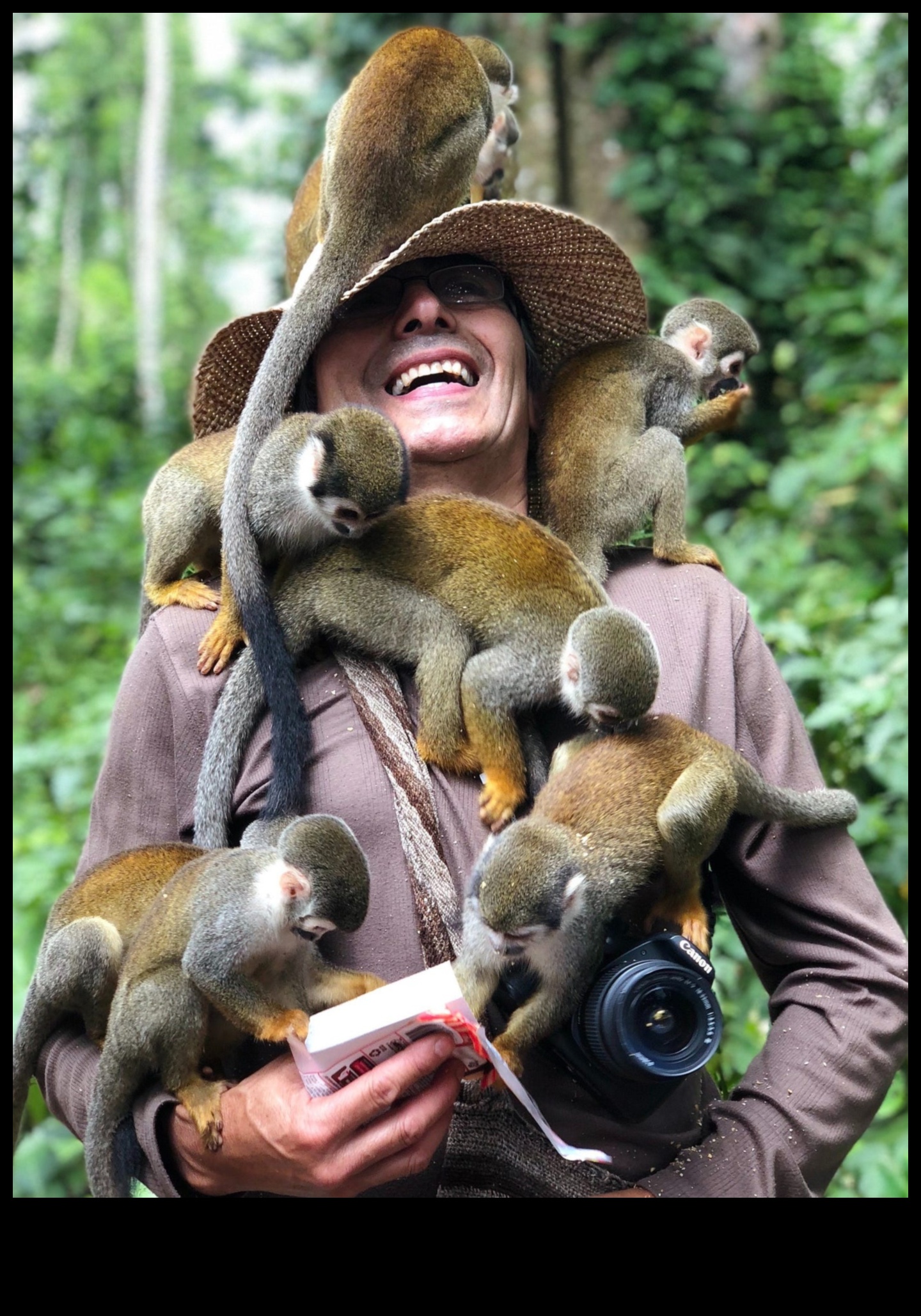 Minuni ale vieții sălbatice: surprinderea majestății naturii cu stiluri de fotografiere cu animale