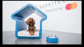 Barkitecture 101: Crearea unei case prietenoase pentru câini