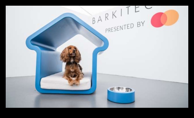 Barkitecture 101: Crearea unei case prietenoase pentru câini