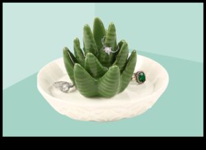 Botanical Bounty: Cadouri verzi pentru pasionații de plante