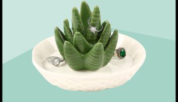 Botanical Bounty: Cadouri verzi pentru pasionații de plante