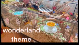 Crearea unui Țara Minunilor hamsterilor: Medii tematice pentru implicare