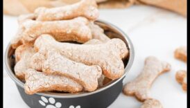 DIY Doggie Delights: Creați delicii sănătoase și gustoase acasă