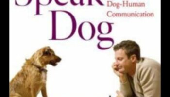 Discursul câinelui: navigarea în arta comunicării câinelui