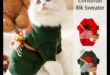 Finery Feline: Accesorii elegante pentru a-ți împodobi pisica