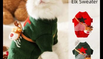 Finery Feline: Accesorii elegante pentru a-ți împodobi pisica