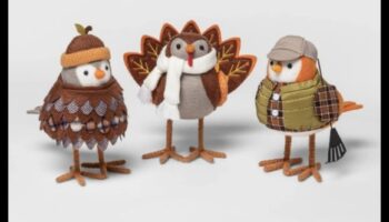 Moda prietenilor cu pene a continuat: Păstrează-ți pasărea elegantă