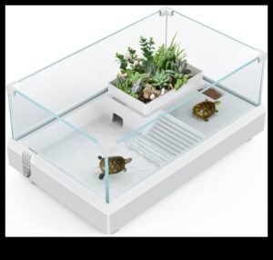 Relaxarea reptilelor Continuare: Proiectarea unor zone confortabile de odihnă