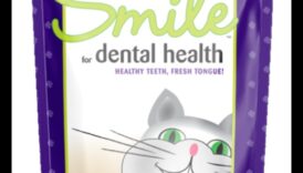 Sănătatea dentară spre pisici Sfaturi spre un zâmbet indicat și sănătos 5 Sănătatea dentară pentru pisici: sfaturi pentru un zâmbet fericit și sănătos